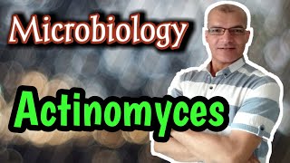 Actinomyces Characteristics Pathology and Treatment [upl. by Ennyletak]