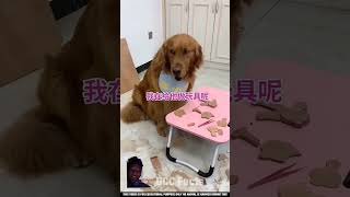 Dog 🐕 making a toy for a little baby  toy  cute dog 🐕 [upl. by Sachsse]