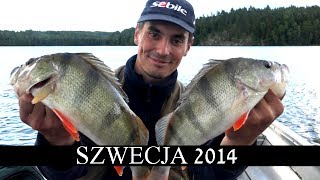 Wędkarstwo spinningowe  Wędkowanie w Szwecji 2014  Okonie i szczupaki na spinning [upl. by Ettennek684]