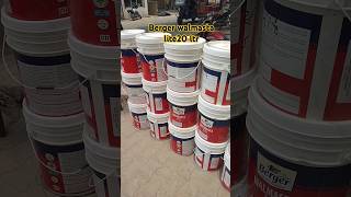 Berger walmastalite 20ltr🤩🤩bergerpaint paintingshortshortsyoutubeshorts videotrending [upl. by Lokcin]