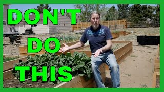 Lessons for Beginner Gardeners 9 Tips [upl. by Jamil819]