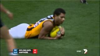 AFL Round 2  Geelong v Hawthorn match highlights [upl. by Silrac]