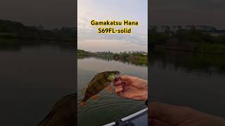 Окунь на Gamakatsu Hana S69FLsolid gamakatsu fishing микроджиг Gamakatsu Hana S69FLsolid [upl. by Marlow]