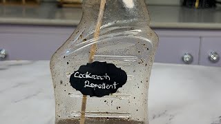 HOMEMADE COCKROACH REPELLENT [upl. by Fina]