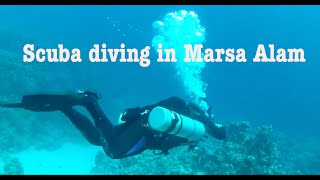 Marsa Alam 2015  Scuba Diving [upl. by Proudfoot]