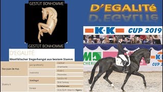 Dégalité  KampK CUP 2019 [upl. by Etnovert394]