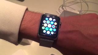 Apple Watch Stainless Steel  Milanese Loop REVIEW [upl. by Vierno]