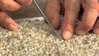 TCS  How to Repair Pulled Tufts in Berber Carpet [upl. by Zachar]