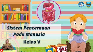 Sistem Pencernaan pada Manusia Kelas 5 SD  Organ Fungsi Proses Pencernaan Manusia Tema 3 Kelas 5 [upl. by Chaddy923]