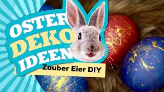 OSTEREIER färben 😱🐰😍 Last Minute DIY  Wohnprinz [upl. by Angelis115]