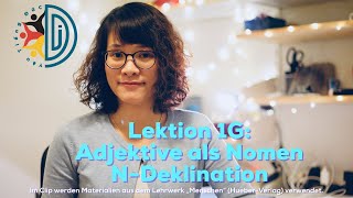 B1Lek1G Adjektive als Nomen und Nomen der NDeklination [upl. by Heigl]