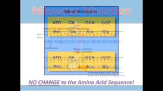 Substitution Mutations [upl. by Valda]