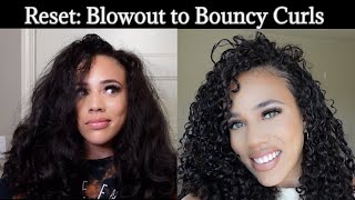 Curly Hair Reset  Blowout to Bouncy Curls [upl. by Steffi]