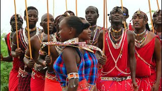 Maasai Footsteps Show  Traditional Maasai dance and Songs rhythmic Maasai deep humming [upl. by Nivlem]