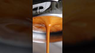 Espresso Extraction In Slow Motion [upl. by Guinna]