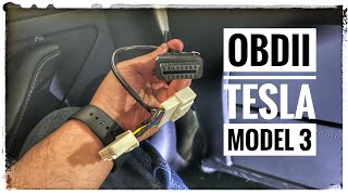 Instalar el conector OBD2 en el Tesla Model 3 2022  detalles a tener en cuenta [upl. by Euphemia759]