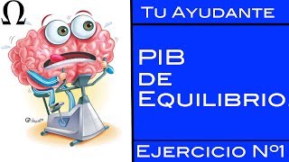 PIB de Equilibrio  LR Ejercicio Nº1  Tu Ayudante Economía [upl. by Damita]