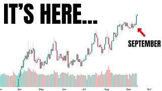 The Worlds Biggest Stock Market Hedge Just Went Ballistic… [upl. by Carena]