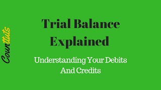 Trial Balance Explained  Understanding Your Debits And Credits [upl. by Ariajaj]