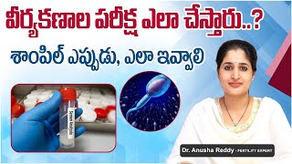 వీర్యకణాల పరీక్షకి BEST TIME  How To Collect Sample For Semen Analysis  Top Fertility Doctors [upl. by Haggi]