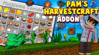 👉 Pams Harvestcraft ADDON para Minecraft PE ►  180 Elementos [upl. by Honig95]