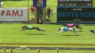 Capalaba27102024Race9 [upl. by Edrahc]