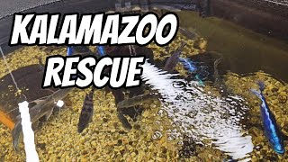 Kalamazoo Rescue [upl. by Blessington]