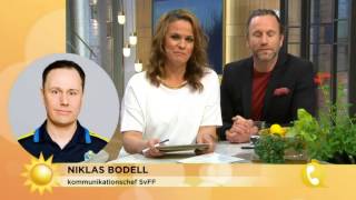 Miss i kampanjen quotGonorré för Sverigequot  Nyhetsmorgon TV4 [upl. by Holcman]