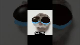 Sad Hamster becomes more sad meme memes funny sadhamster [upl. by Aliam]