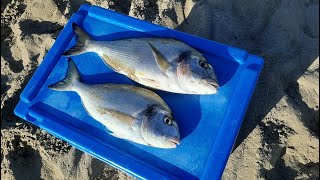 Surfcasting Blog Super doppietta di orate [upl. by Alameda237]