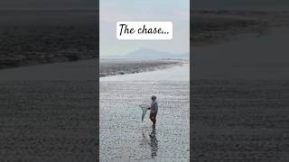 The chase  Man vs Sea [upl. by Balbinder]