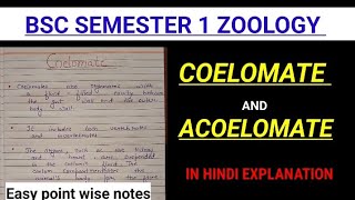 COELOMATE AND ACOELOMATE ZOOLOGY NOTESBsc 1st semester major zoology zoologynotes bbmku vbu ru [upl. by Esilehs]