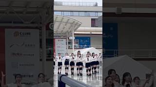 Secret Story of the Swan  izone dance cover 2024 新潟大学 PINCE kpop dance izone [upl. by Onivag564]