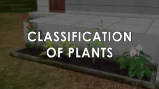 Classification in Plants\PLANTAE KINGDOM OF CLASSIFICATION [upl. by Odlonyer]