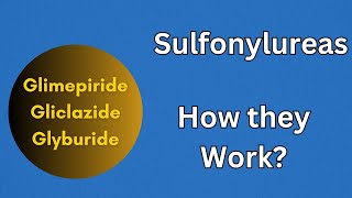 Sulfonylrueas  Pharmacology Mechanism of Action for Glimepiride Gliclazide [upl. by Ayotan]