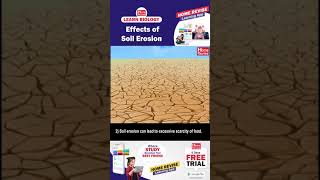 Effects of soil erosion [upl. by Ennovy]