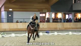 Melina Tresch SUI  CVI2 Female  03  CVI Ermelo 2016 [upl. by Anirhtak]