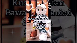 kucing sultan bawa tas brandedaicat funnyshortsvideo [upl. by Victoria95]