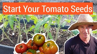 Great Way to Start Tomato Seeds Outdoors [upl. by Maribelle]