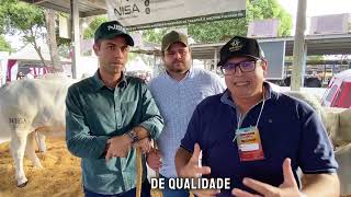 Raça Tabapuã presente aqui na expoagro 2024 Nisa agropecuária [upl. by Chivers]