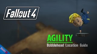 Fallout 4  ALL BobbleHead Locations [upl. by Buckler106]