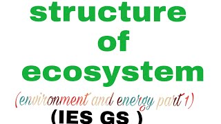 ECOSYSTEM BIOTIC ABIOTICstructure of ecosystem IES GS  environment and energy part1 [upl. by Shir]