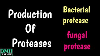 Production Of Protease  Industrial Production Of Protease  Microbial Production Of Protease [upl. by Anigal]