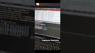 Packet capturing with wire sherk [upl. by Winikka]
