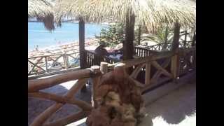 Paradise  Beach Bar Kos  wwwparadisebeachkoscom [upl. by Gies]