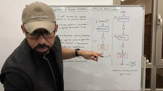 Regulation of Hormone Synthesis Secretion and Serum Levels [upl. by Afaw152]