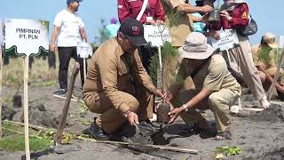 5 Tahun Transformasi BUMN PLN Konsisten Jaga Kelestarian Lingkungan di Pantai Samas DIY [upl. by Hgielra212]