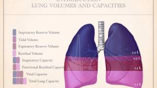 Obstructive Vs Restrictive Lung Diseases [upl. by Crowley]