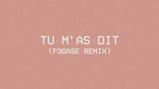 Louane  Tu mas dit P3gase remix Visualizer [upl. by Myrah]