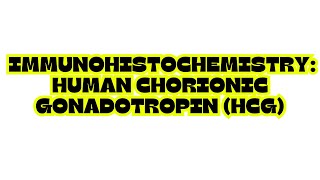 IMMUNOHISTOCHEMISTRY HUMAN CHORIONIC GONADOTROPIN HCG [upl. by Comethuauc]